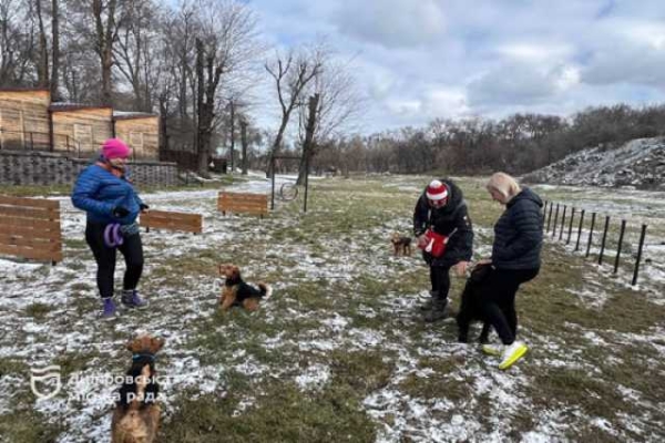 У днiпровському парку облаштували майданчик для тренування собак