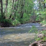 У Криму висохли майже всі річки — експерт
