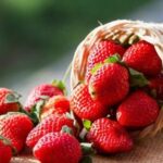 Сезон стартував: чому не варто відмовляти собі у полуниці