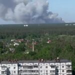 Під Києвом горить ліс: мешканців столиці попередили про небезпеку (відео)