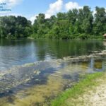 У столичному Гідропарку знайшли приватний маєток