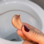 Зникнуть навіть старі жовті розводи: як легко відмити унітаз за допомогою часнику