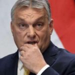Угорщина вимагає визнати всю Закарпатську область «традиційно угорською», — ЗМІ