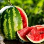 Обирайте тьмяну шкірку: як вибрати ідеально стиглий кавун