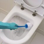 Унітаз завжди буде чистим і буде дуже приємно пахнути: експертка порадив засіб, який можна легко приготувати вдома (відео)