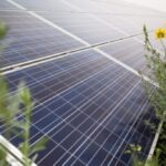 Українські банки почали видавати безвідсоткові кредити на сонячні панелі та вітрові установки