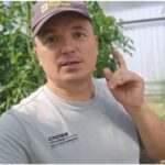 Помідори, які солодші за полуницю: аграрій з Київщини Валерій розповів про незвичайний сорт томатів