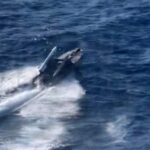 ГУР вполював в окупованому Криму чергового російського «тунця»