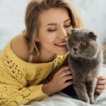 Більше 10 років? Пора на «пенсію»: як співвідноситься вік котів і людей