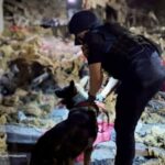 Нічний удар по Україні: у Києві гасять пожежі, є загиблі у Запоріжжі та Кривому Розі…