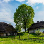 Рейдери хочуть забрати землю і майно знаменитого музею в Пирогові