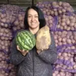 Експерт СБ Оксана Руженкова: Купуйте картоплю у жовтні – взимку…
