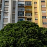 Квартирна гонитва: де орендувати житло на заході України за найкращою…