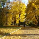 Бабине літо знов повернеться в Україну: прогноз погоди на 7 листопада