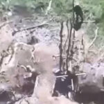 Під Волновахою окупанти розстріляли полонених бійців ЗСУ