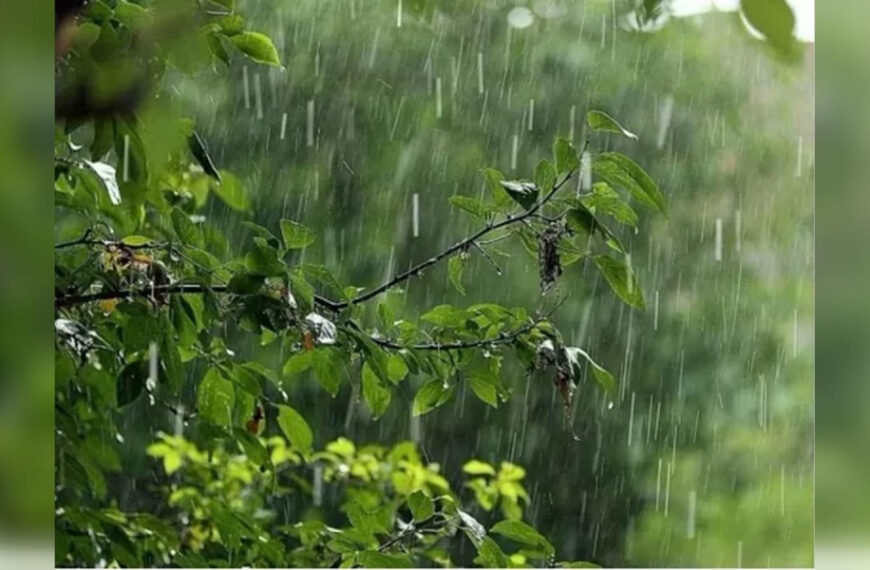 Грози, град та аномальний холод: що кажуть&hellip;