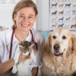 Merck Animal Health інвестує $895 млн у своє підприємство в…