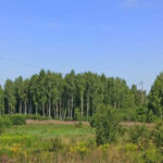 Суд повернув Львiвськiй громадi ще одну дiлянку заказника