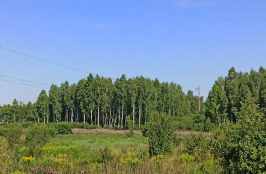 Суд повернув Львiвськiй громадi ще одну дiлянку заказника