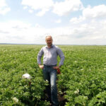 Чому ціни на молоду українську картоплю вдвічі вищі, аніж на завезену з Єгипту:…