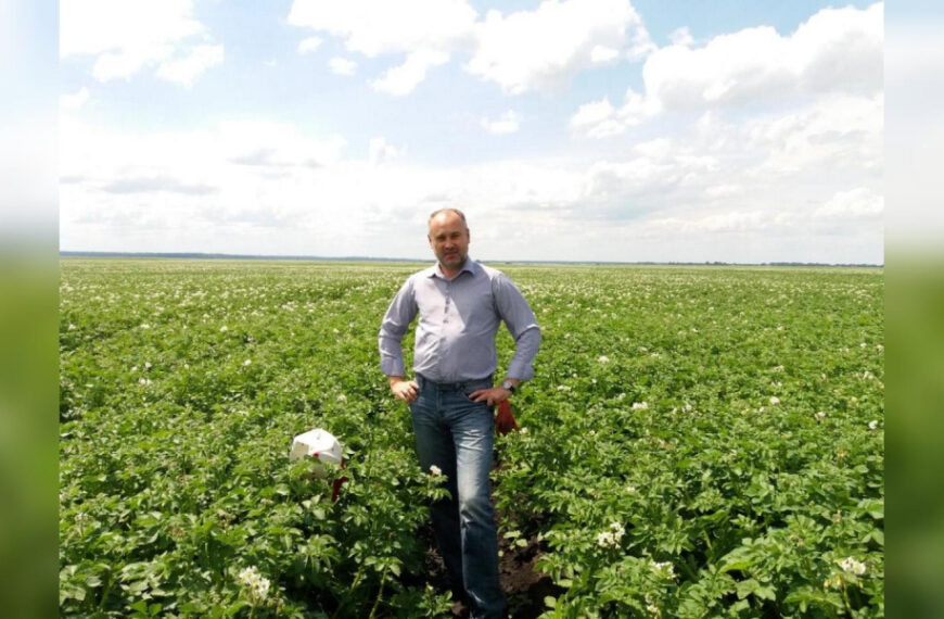 Чому ціни на молоду українську картоплю…