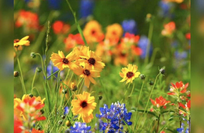 Скорпіонам треба контролювати емоції, а Рибам&hellip;