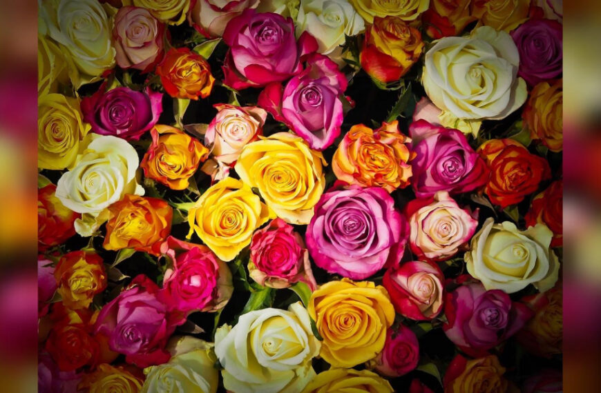 Кава, молоко і не тільки: у червні обов’язково…