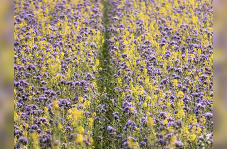 Ґрунт буде родючим та здоровим: фермерка&hellip;