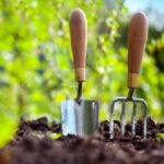 Пожинаємо плоди праці та закладаємо новий урожай: місячний календар городника на серпень-2025