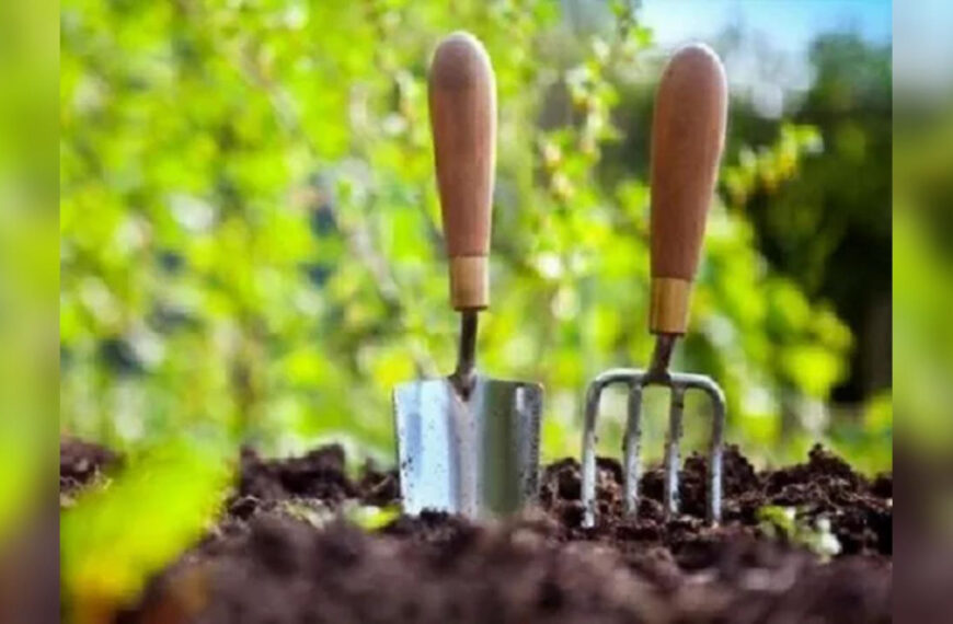 Пожинаємо плоди праці та закладаємо новий&hellip;