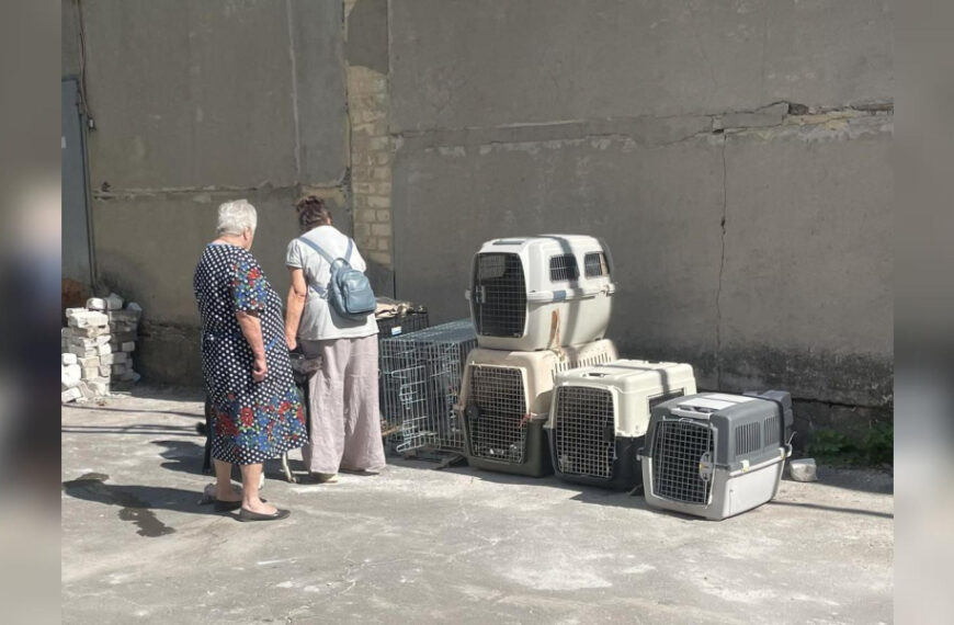 На Вінниччині своя реальність: переселенок з-під&hellip;