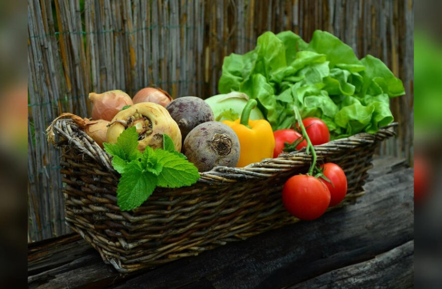 Кожному овочу свій час: коли настає час збирати врожай і як це правильно робити