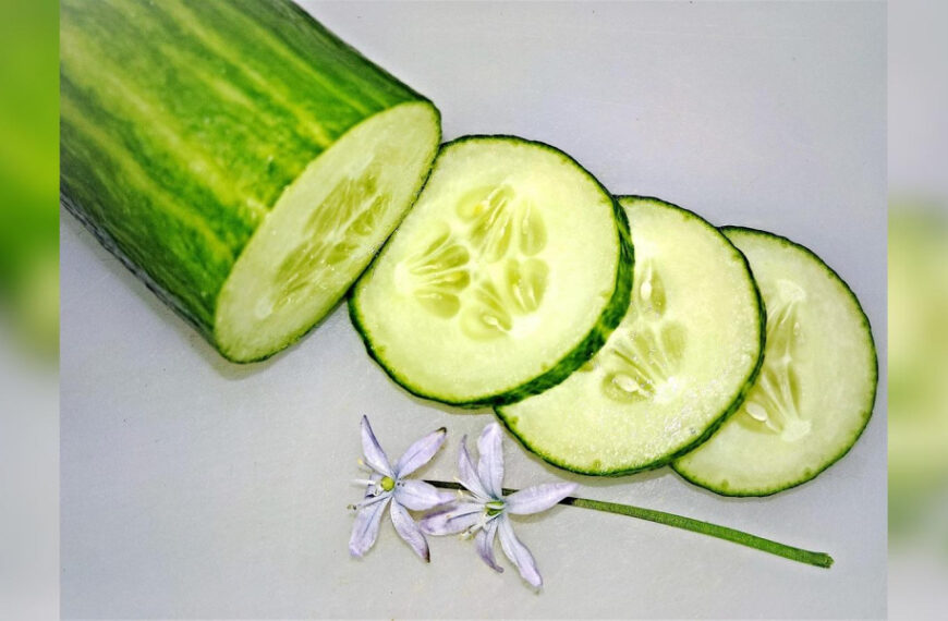 Ікра з огірків, що перезріли: і гарнір, і закуска, і намазка