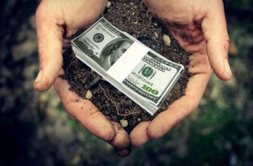 Порахували ціну за оренду гектара землі