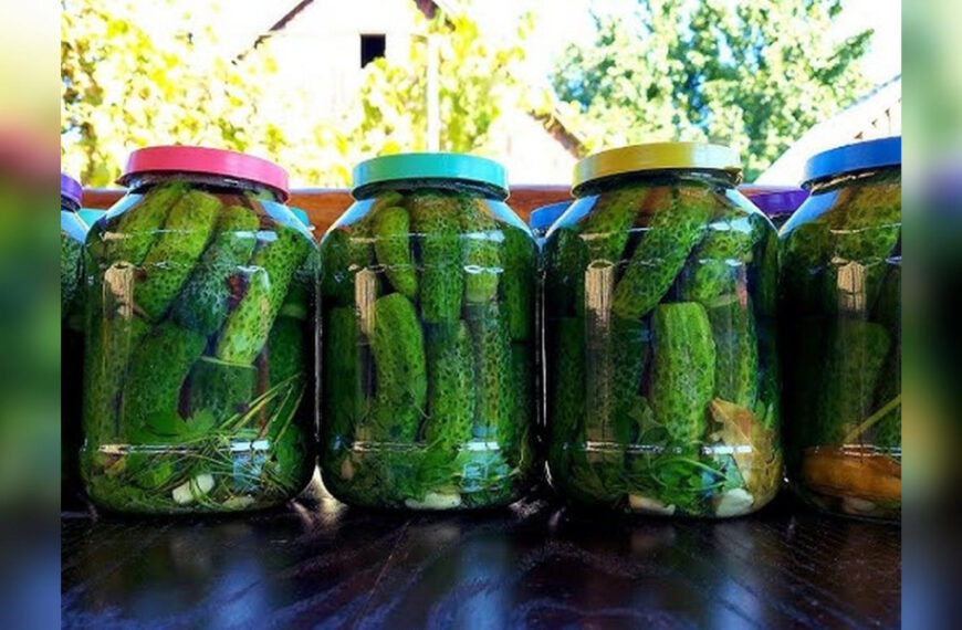 Хрумкі квашені огірки на зиму: вони точно мають бути у вашому погребі