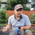Аграрій з Київщини порадив, чим підживити полуницю в серпні і у вересні