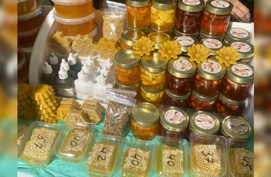 Прополіс позбавить мозолів, а підмор знизить цукор у крові: дешева альтернатива лікам та… меду