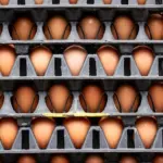 Ціни на продукти в Україні зрівнялись з європейськими, – Нацбанк