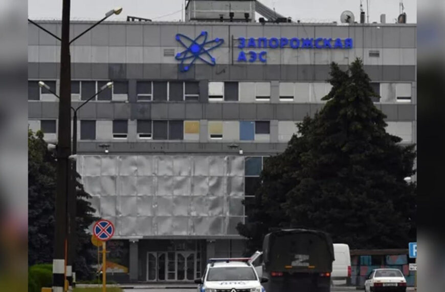 Дим над ЗАЕС: що горить біля найбільшої атомної станції (фото)