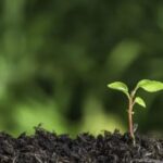 Україна внесла законопроект про зелене відновлення