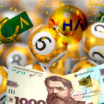 “М.С.Л.” проводить спортивні парі без букмекерської ліцензії, – повідомляють медіа