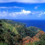 Поліція розслідує справу американця, знайденого смертельно раненим ножем на Тобаго