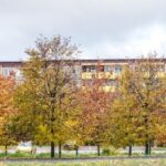 Вторинний ринок у жовтні: де вигідніше придбати житло в Україні