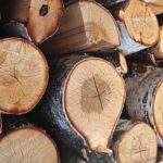 Уряд заблокував вивіз необробленого лісу: повна заборона до кінця року.