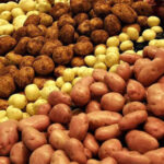 В Україні падають ціни на картоплю: вартість на 58% менша,…