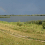 Державі повернуто 667 га Добротвірського плеса