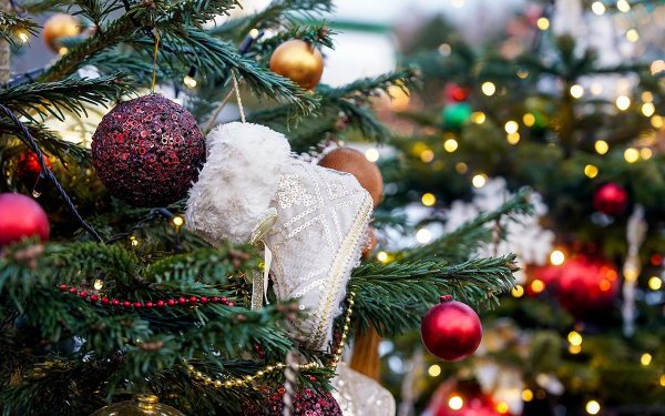 Фото: Авілов Олександр / Агентство «Москва»