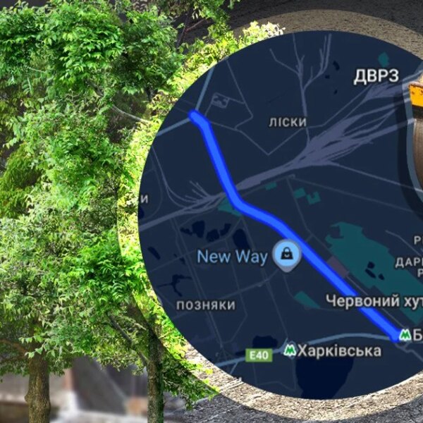 Київ замінить дерева асфальтом: грандіозний ремонт траси за 1,4 млрд.