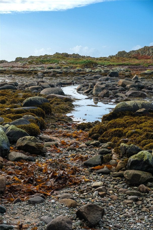 Острів Ейлеан-а-Шапуйл, або Острів Кон / © Фото з відкритих джерел