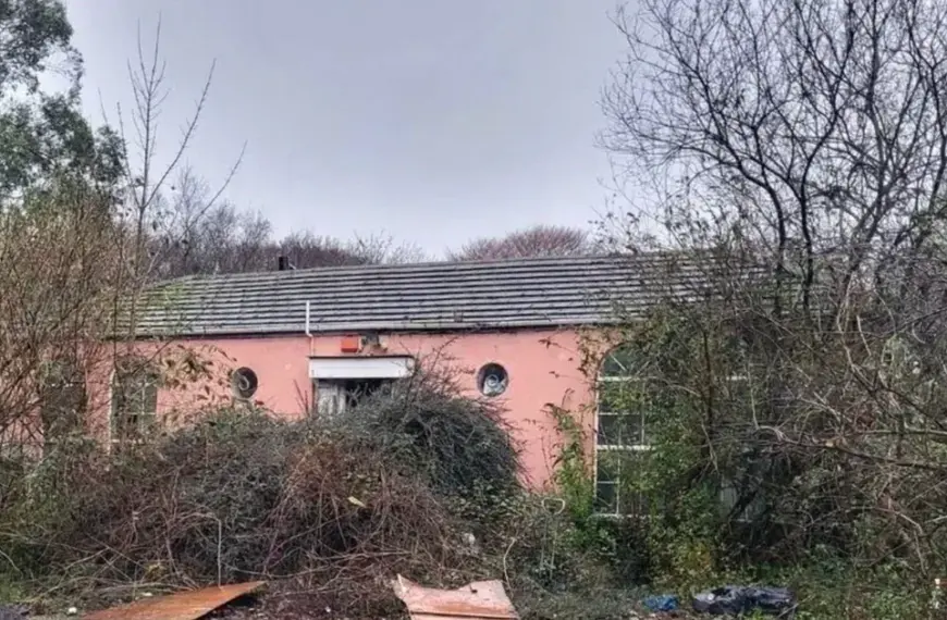 Купівля будинку наосліп: як несподівана знахідка змінила життя подружжя